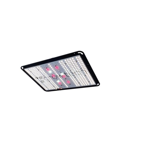 Growtech quantum Q150
