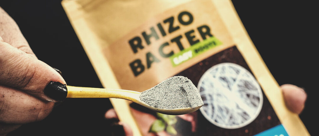 Fertilizantes RQS: los mejores abonos para la marihuana