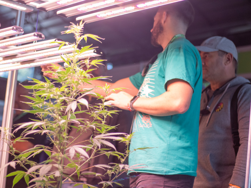 En Rosario debatieron sobre el futuro de la industria del cannabis y cáñamo